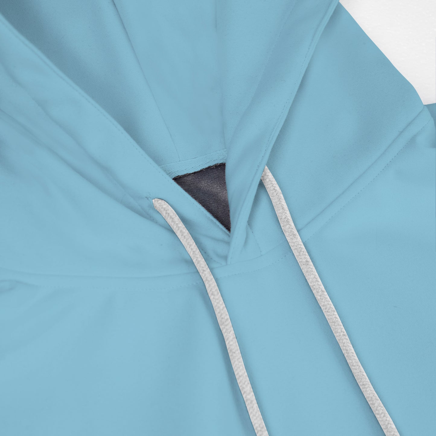 Lake blue Basic Hooded Sweatshirt